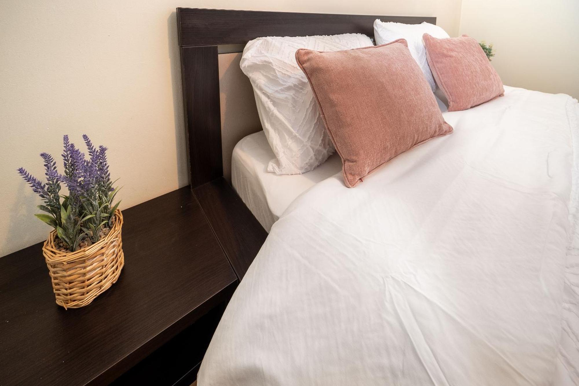 Central Elegant - Anastasia Apartment - By Openhouse Τιμισοάρα Εξωτερικό φωτογραφία